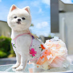 Dog Princess Dress,Summer Thin Cat Rainbow Butterfly Pettiskirt Cute Pet Clothes Chihuahua Teddy Dress Pet Supplies (S)