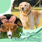No Pull Prong Dog Collar,Adjustable Dog Pinch Training Chain Collar with Comfort Rubber Tips for Training Guidance Small Medium Large Dogs (L)