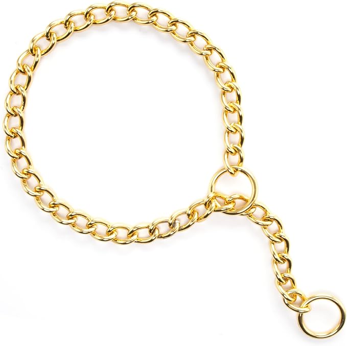 TSPRO Stainless Steel Heavy Duty Metal Dog Collar, Adjustable and Durable Pet Collar for Medium to Large Dogs, Ideal for Walking and Training (Shiny Gold, 4MM*20.5-23 inches)