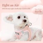 rabbitgoo Dog Harness Small Sized and Leash Set, Step in Soft Light Puppy Vest, Breathable Mesh Pet Harness, Reflective for Outdoor Safe Walking, Pink XXXS