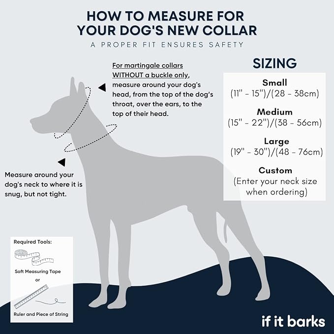 If It Barks - 1.5" Martingale Collar for Dogs - Adjustable - Nylon - Strong and Comfy - Ideal for Training - Made in USA - Medium, Spunky