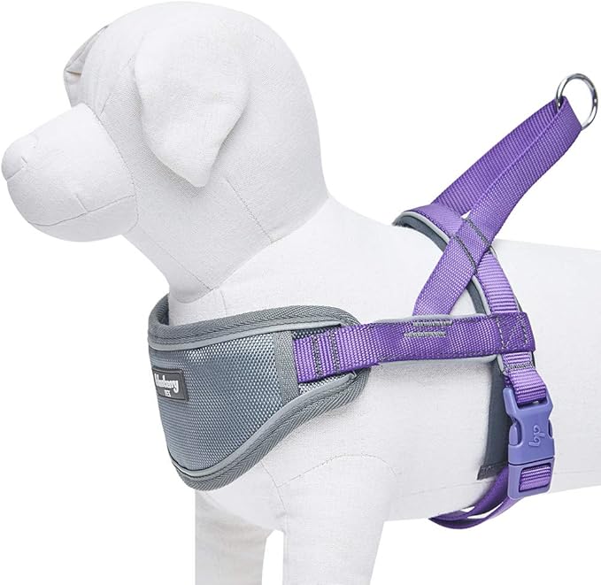 Blueberry Pet 8 Colors Soft & Comfy 3M Reflective Strips Padded Dog Harness Vest, Chest Girth 30" - 38.5", Purple, Large, Nylon Adjustable Training Harnesses for Dogs