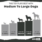 Barkbox Super Chewer Tough Dog Chew Toys for Aggressive Chewers, Treat Dispensing (Comet-Small)