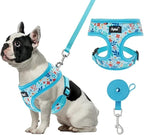 PUPTECK Soft Mesh Dog Harness and Leash Set Pet Puppy Cat Comfort Padded Vest No Pull Harnesses, Blue Floral, S