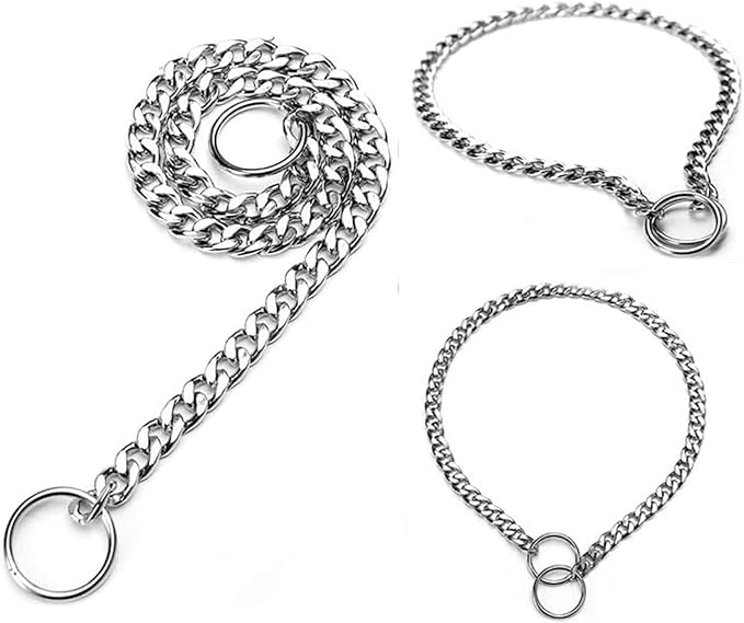 Silver Collars for Dog,Metal Slip Link Dog Chain Martingale Collar Heavy Duty Training Dog Collar Boy Girl Puppy Collars for XS Small Medium Large Big Breed Pet,XL