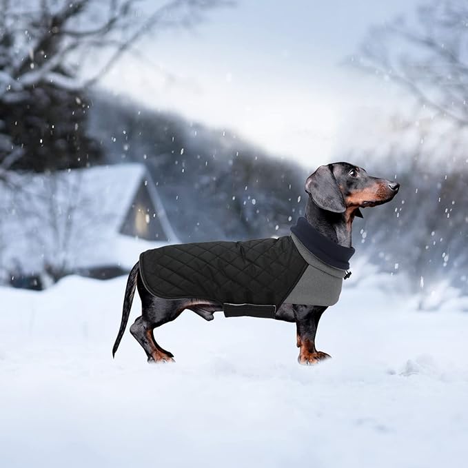 Geyecete Dachshund Coat,Dachshund Winter Coat,Warm Waterproof Windproof, High Neckine String Holes Miniature Dachshund Jacket for Small Dog-Black-S