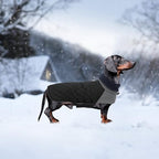 Geyecete Dachshund Coat Winter,Warm Dachshund Coat Waterproof Windproof, High Neckine String Holes Miniature Dachshund Jacket for Small Dog-Black-XL