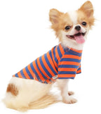 LOPHIPETS 100% Breathable Cotton Striped Dog Tee Shirt T-Shirt for Small Dogs Teacup Chihuahua Yorkie Puppy Clothes -Orange and Blue Strips/S