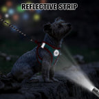 BEAUTYZOO Step in Dog Harness and Leash Set,Reflective Dog Harness No Pull No Choke Puppy Harness for Small Medium Large Dogs Cats,Soft Padded Mesh Vest Harnesses for Girl and Boy Pets,Christmas S