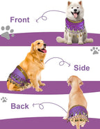 Dog Belly Dancer Costume - Puppy Outfit with Sequin Waist Chain & Hip-Shaking Skirt - Ideal for Corgi and Puppy Birthday Parties or Halloween Celebrations(Small,Purple)