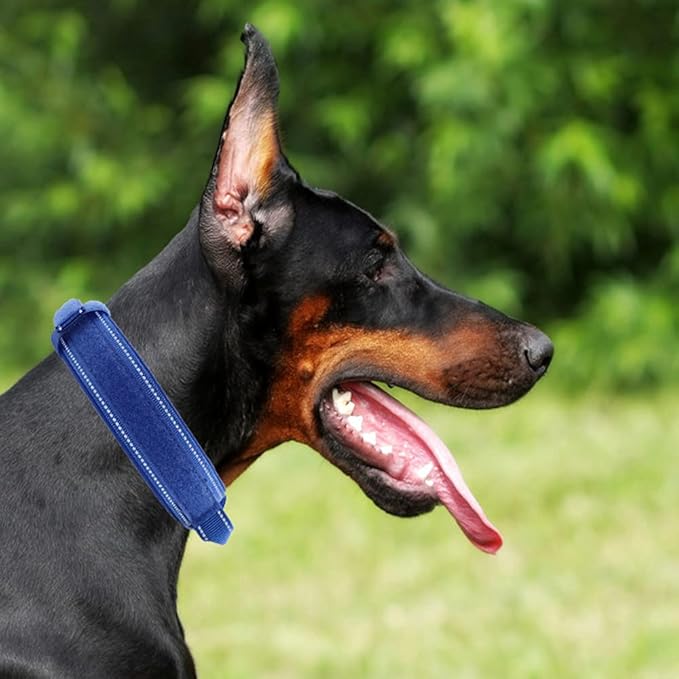 Tactical Dog Collar with Heavy Duty Metal Buckle and Control Handle for Medium Large Dogs Training(Bright Blue, X-Large)