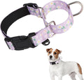 KOOLTAIL Martingale Collar for Dogs for Small Medium Large Dogs, Soft Padded Nylon No Pull Dog Collar with Buckle, Adjustable No Slip Heavy Duty Durable Puppy Training Collar for Boys Girls, Purple M