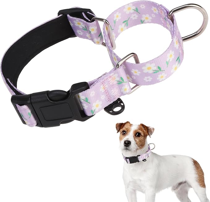 KOOLTAIL Martingale Collar for Dogs for Small Medium Large Dogs, Soft Padded Nylon No Pull Dog Collar with Buckle, Adjustable No Slip Heavy Duty Durable Puppy Training Collar for Boys Girls, Purple M