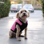 Gooby Fashion Vest Dog Jacket - Pink, Small - Warm Zip Up Bomber Vest with Dual D Ring Leash - Winter Water Resistant Small Dog Sweater