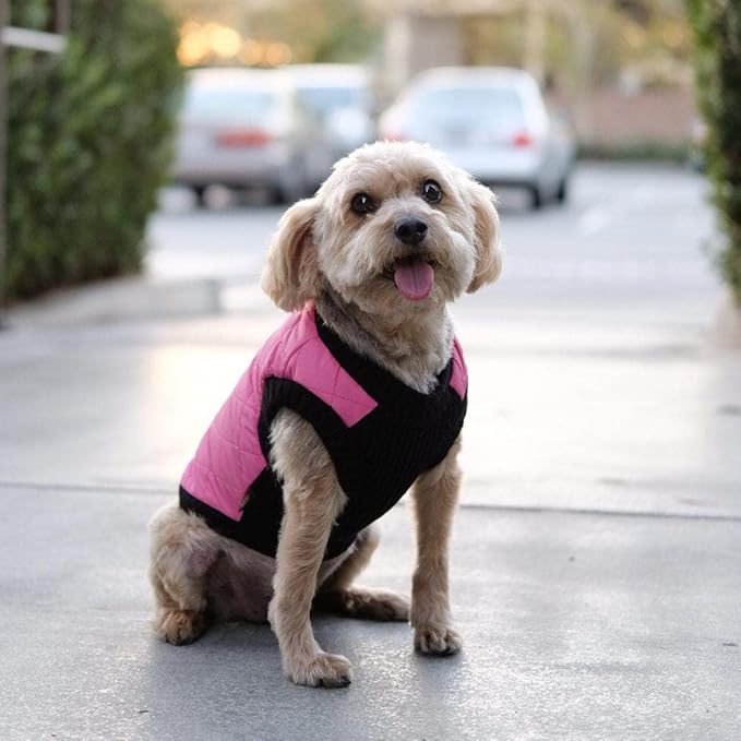 Gooby Fashion Vest Dog Jacket - Pink, X-Small - Warm Zip Up Bomber Vest with Dual D Ring Leash - Winter Water Resistant Small Dog Sweater