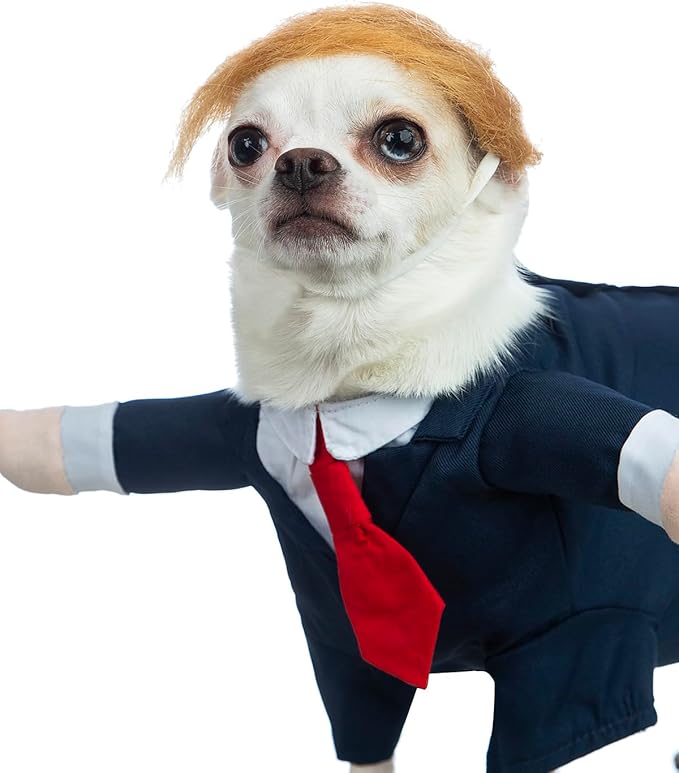 Dog Suit Costume Pet Wedding Shirt with Wig Funny Dog Suit and Tie for Small Medium Dog Cat Wedding Party Formal Gentleman Clothes (2XL)