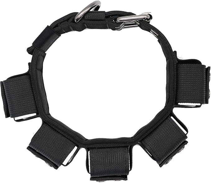 Tactical Weighted Dog Collar - Weights for Training & Exercise - Small, Medium, Large Dogs