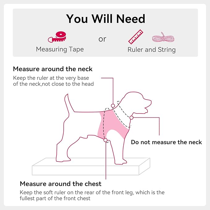 Joytale Small Dog Harness, Breathable Mesh Step-in Vest, Reflective Soft Padded Harnesses for Small and Medium Dogs, Hot Pink, M