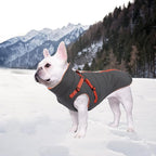 Geyecete Winter Warm Coat Waterproof Dog Winter Jacket with Harness Traction Belt,Windproof Pet Outdoor Jacket Dog Autumn-Gray-S