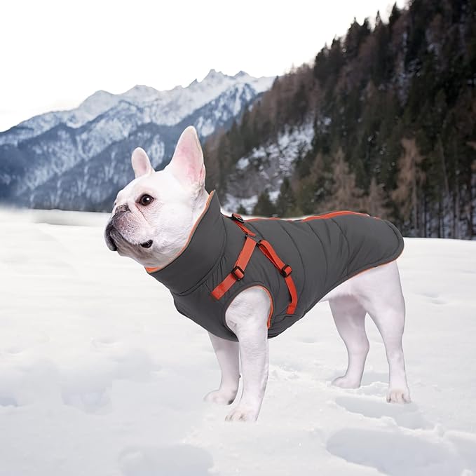 Geyecete Winter Warm Coat Waterproof Dog Winter Jacket with Harness Traction Belt,Windproof Pet Outdoor Jacket Dog Autumn-Gray-XXL