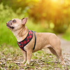 PUPTECK Soft Mesh Dog Harness and Leash Set Pet Puppy Cat Comfort Padded Vest No Pull Harnesses, Red&Black, L