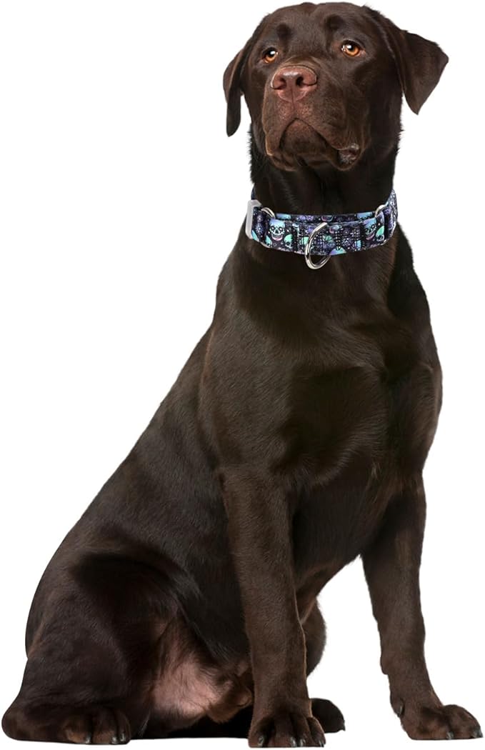 Martingale Collars for Dogs, Skull Print No-Slip Escape Proof Choke No Pull Soft Nylon Training Dog Collars for Small Medium Large Breed Pet Dogs, S