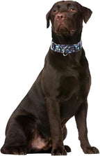 Martingale Collars for Dogs, Skull Print No-Slip Escape Proof Choke No Pull Soft Nylon Training Dog Collars for Small Medium Large Breed Pet Dogs, S