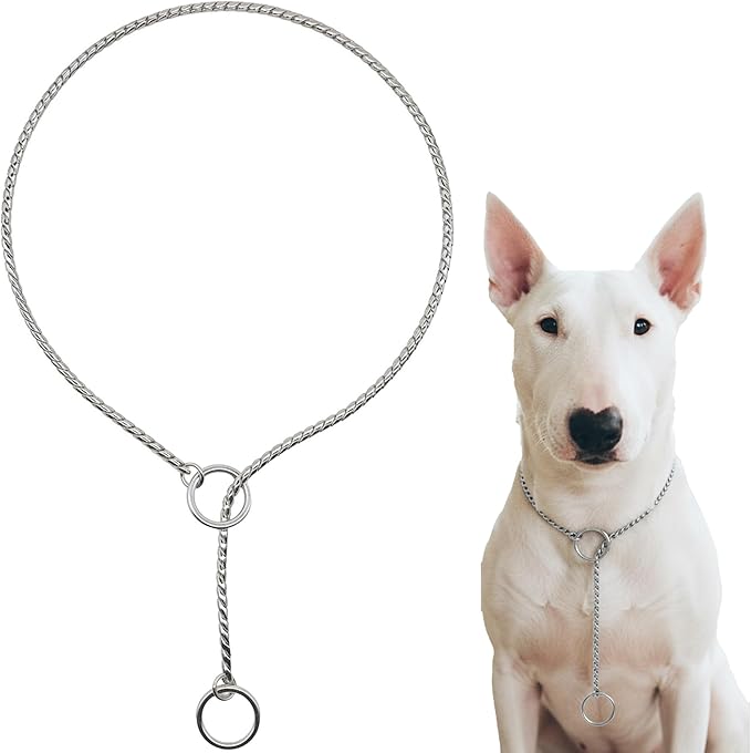 Dog P Snake Chain Chrome Plated Metal Dog Training Choke/Collar-Fully Guaranteed Against Rust Tarnish or Breakage-Recommended for Professional Training (Sliver, 5mm * 22")