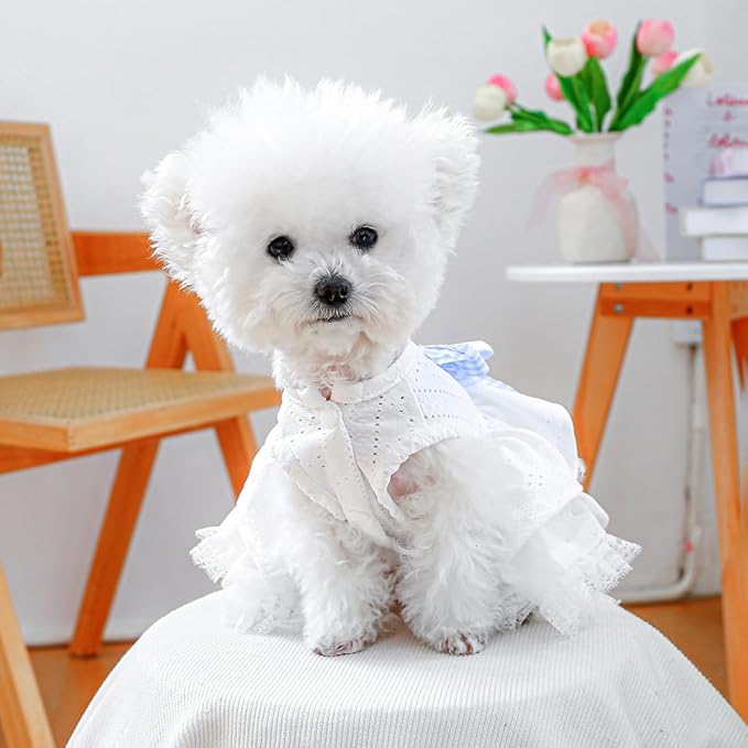 Furbabycare® Elegant Sweet Fashion Puppy Dog Blingbling Princess Skirt Pet Dog Lace Cake Camisole Tutu Dress K-White X-Small