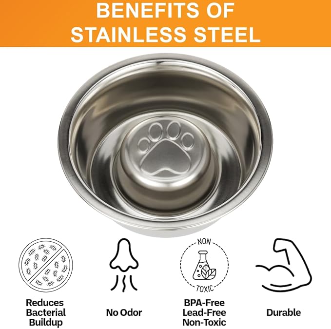 Neater Pet Brands Stainless Steel Slow Feed Dog Bowl for Fast Eating Medium Breed, Metal Slow Feeder Dog Bowl Fits in Medium Neater Feeder Deluxe, for Puppy or Dogs (19-40 lbs), 1 Cup Food Capacity
