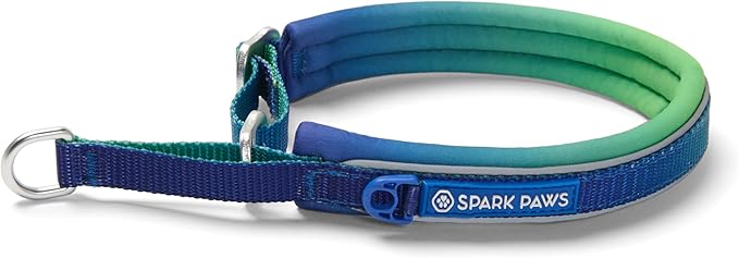 Spark Paws Martingale Dog Collar – Cushioned Slip-On Training Collar, Heavy Duty, Safety-Tested No-Buckle Collar for Medium & Large Dogs - Lime Wave - A