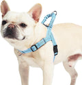 PUPTECK No Pull Dog Harness Small Sized Dog, Adjustable Reflective Pet Vest Harness with Bungee Handle, Escape Proof No Choke Harness for Small Dogs Walking Training, Sky Blue S