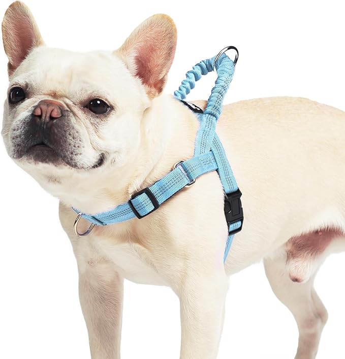 PUPTECK No Pull Dog Harness Small Sized Dog, Adjustable Reflective Pet Vest Harness with Bungee Handle, Escape Proof No Choke Harness for Small Dogs Walking Training, Sky Blue S