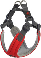 Gooby Escape Free Memory Foam Harness - Red, Medium - No Pull Step-in Small Dog Harness with Four Point Adjustment - Perfect on The Go Dog Harness for Medium Dogs No Pull and Small Dogs