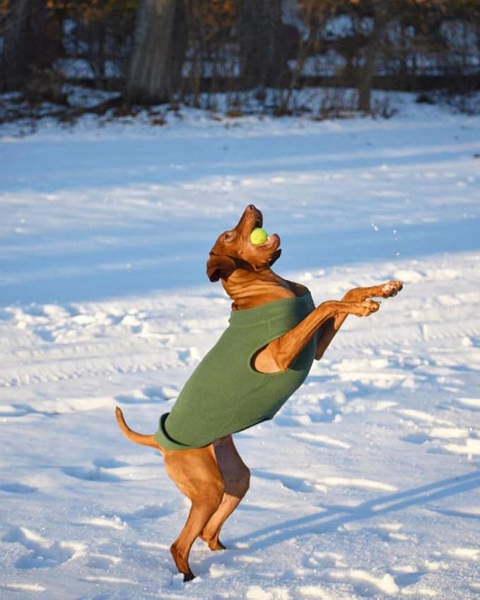 Gooby Stretch Fleece Vest Dog Sweater - Sand, 6X-Large - Warm Pullover Super Stretchy Fleece Dog Jacket for Small to Large Dogs