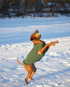 Gooby - Stretch Fleece Vest, Pullover Fleece Vest Jacket Sweater for Dogs, Brown, 6X-Large