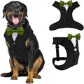 AVERYDAY Dog Tuxedo for Wedding Outfit, Dog Suit and Tie Costumes for Birthday, Halloween, Cosplay, Christmas Party, Pet Formal Wear with Bowtie, Tux for Medium Large Dogs, Bulldog, Labrador, Husky