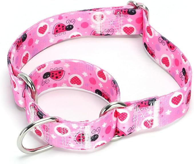 Serijoars Adjustable Martingale Dog Collar Heavy Duty Nylon Dog Collar for Medium Large Dogs Walking Training Boy and Girl Dogs (NO7, M)