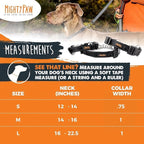Mighty Paw Martingale Dog Collar 2.0 | Trainer Approved Limited Slip Collar with Stainless Steel Chain & Heavy Duty Buckle - Modified Cinch for Gentle & Effective Pet Training - S/M, Green