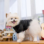 KOOLTAIL Dog Hoodie for Small Medium Large Dogs, Soft and Warm Pet Sweater with Leash Hole and Pocket Boy Girl, Puppy Fall Winter Jacket Clothes, French Pitbull Cold Weather Coat Sweatshirt, Black M
