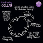 Starmark Pro-Training Dog Collar Large