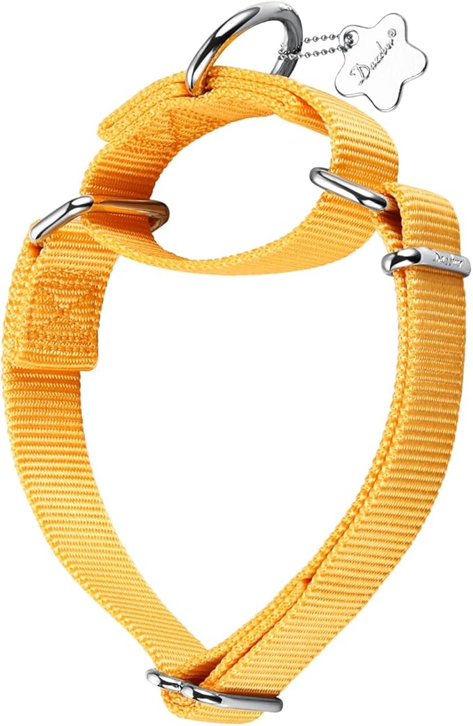 Martingale Dog Collar, No-Buckle Escape-Proof Design, Heavy-Duty Nylon and Welded D-Ring, Adjustable Training Collar for Medium Large Dogs (BrighYellow, L)