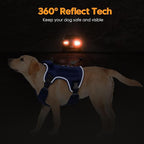 Heavy-Duty Tactical Dog Harness for Large Dogs, No Pull Adjustable Reflective Pet Vest with Molle System, K9 Military-Grade Control for Service Training, Outdoor & 10+ Breeds, Dazzling Blue, XX-Large