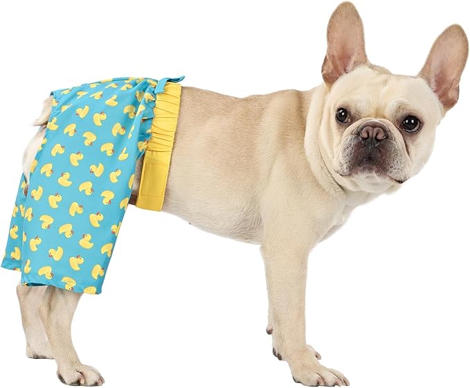 HDE Dog Swim Trunks Hawaiian Board Shorts Beach Pool Swimsuit for XS to XXL Dogs Teal Rubber Ducks - M