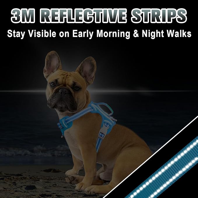 BARKBAY No Pull Dog Harness Large Reflective Dog Harness with Front Clip and Easy Control Handle for Walking Training Running with ID tag Pocket(Blue,XS)