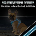BARKBAY No Pull Dog Harness Large Reflective Dog Harness with Front Clip and Easy Control Handle for Walking Training Running with ID tag Pocket(Blue,XS)