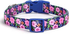 Dog Collar with Leash Airtag Holder Case Set - Dog Collars for Male Female Boy Girl Puppy X-Small Small Medium Large Dogs Walking Running Training - Daisy/XS