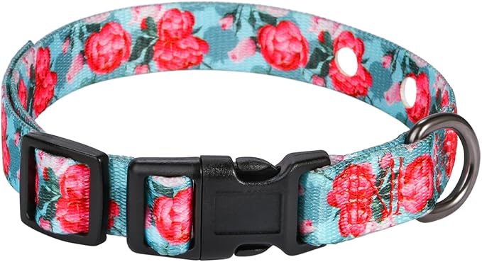 Rhea Rose 3/4 Inch Replacement Collar Strap Shock Collar with 2 Holes, Compatible with Nearly All Brands and Models of Underground Electric Dog Fences and Training Collars, Rose
