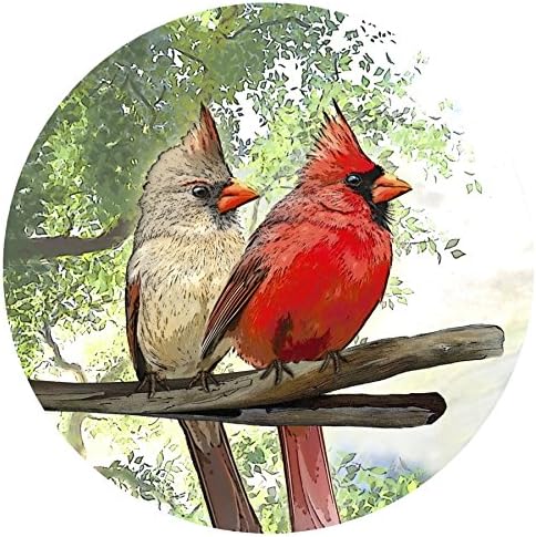 Screen Door Magnets Double Sided – Keep People, Kids, and Dogs from Running into The Screen Door - Robbins Aria Cardinal