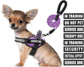 Service Dog Vest Harness and Leash Set, Animire in Training Dog Harness with 10 Dog Patches, Reflective Dog Leash with Soft Padded Handle for Small, Medium, Large, and Extra-Large Dogs (Purple, S)